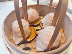 -金鼎轩(亚运村店)