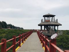 -北海金海湾红树林生态旅游区