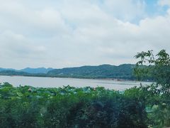 -湖畔居茶楼(湖滨店)