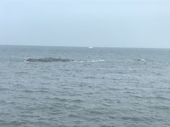 -兴城海滨风景区