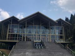 -武陵山森林公园