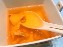 -诺莱仕游艇会