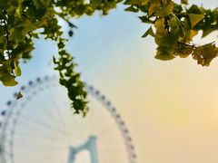 -天津之眼摩天轮