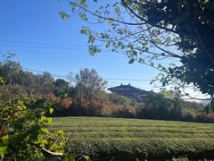 -敬亭山风景名胜区