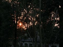 -羊楼洞