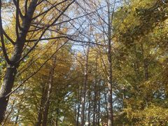 -辽宁大学(崇山校区)