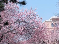 -吉林大学(南岭校区)