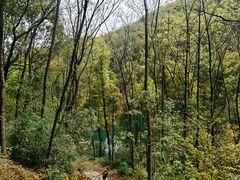 -桃花岭景区