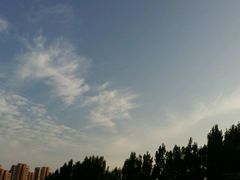 -山东外贸职业学院