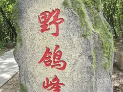 -茅兰沟国家森林公园