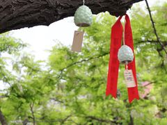 -隆兴寺