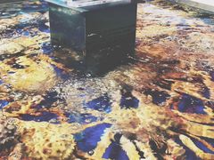 -盒马鲜生(莱蒙都会店)