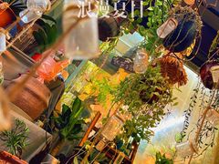 -循礼门鲜花花市(武汉循礼门店)