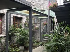 -两棵枇杷树