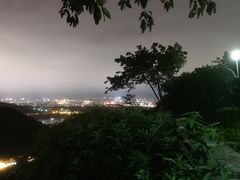 -金水泊山庄·花椒鸡(铁山坪店)