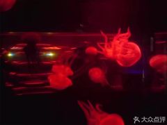 -东部华侨城