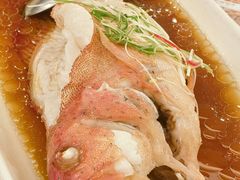 -顺风海鲜港(金玉兰店)