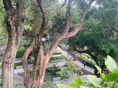 -金鸡山公园