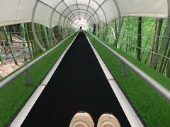 -藏龙百瀑风景区