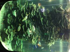泉城极地海洋世界-泉城欧乐堡海洋极地世界