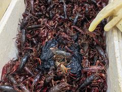 -岳各庄批发市场(西四环中路店)