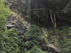 -夏霖九天银瀑风景区
