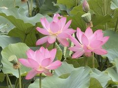 -南翠屏公园