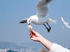 -海埂大坝