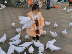 -国色天乡三期陆地乐园