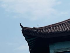 -西湖游船