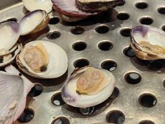 -东夷海鲜巨无霸(东夷小镇店)
