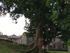 -蔡家宅