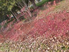 -尚贤河湿地