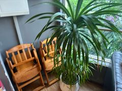 -188西餐厅(园林宾馆店)