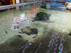 -鸿通城购物中心