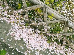 -白塘生态植物园