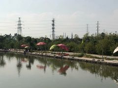 -会江钓鱼钓虾烧烤场