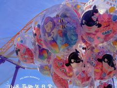 -上海海昌海洋公园