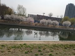 -麦当劳(东直门外大街店)