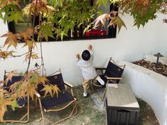 -J Create城市露营咖啡·简餐·宠物(上海动物园店)