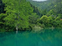 -九龙潭景区