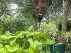 -南山植物园