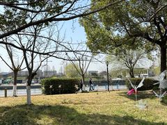 -高东镇樱花园