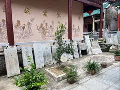 -长沙黑麋峰国家森林公园