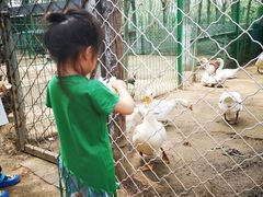 -草根堂农场