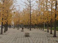 -北京雁栖湖国际会展中心