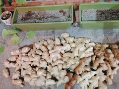 -张钰强中医正骨推拿连锁(唐家人才公寓店)
