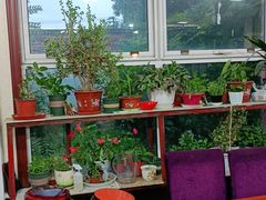 -北京龙庆四季香农家饭庄·灶台鱼·碳烤虹鳟鱼(龙庆峡店)