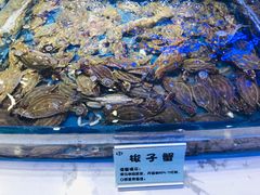 -澜悦港海鲜体验主题餐厅
