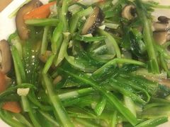-大树下海鲜饭店